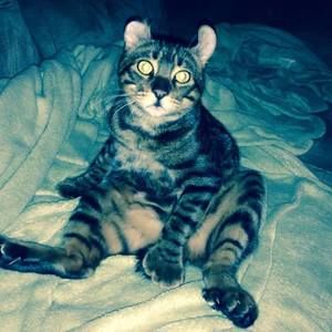 Meet your Posher, Tootsie